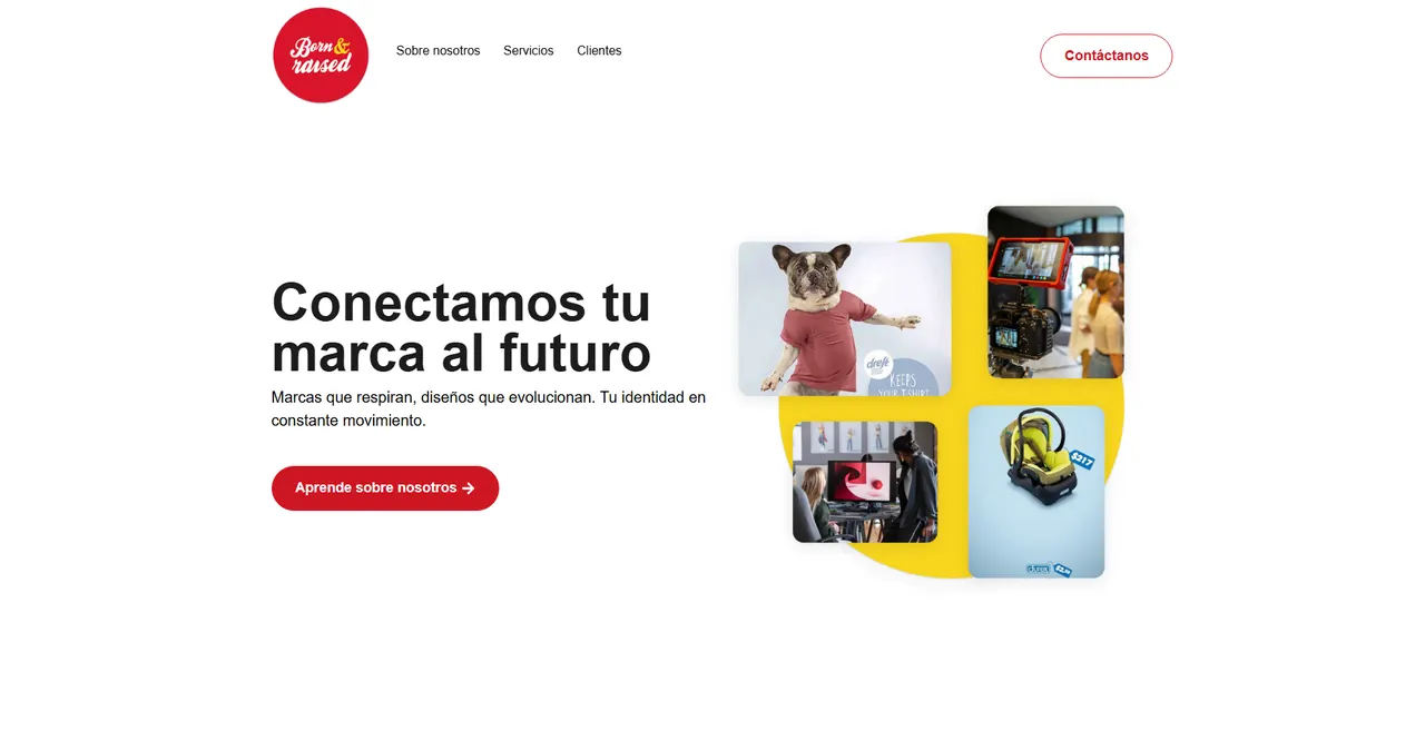 Vista del proyecto Bornraisedve