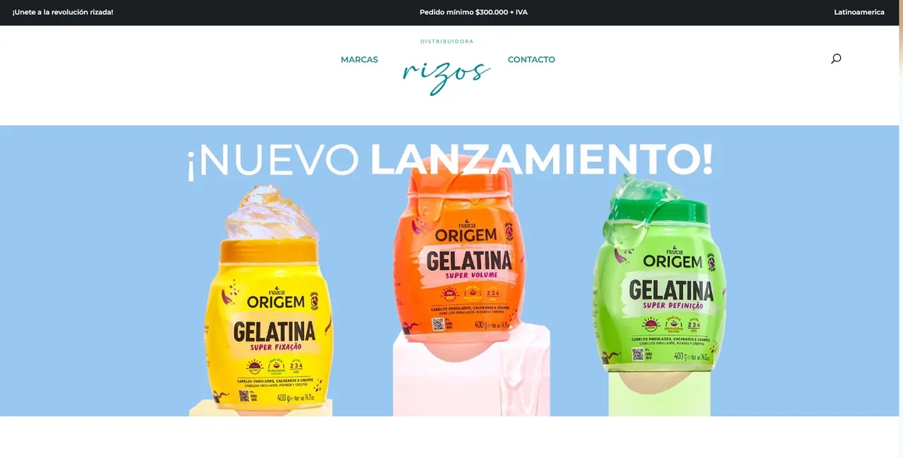 Vista del proyecto Distribuidorarizos