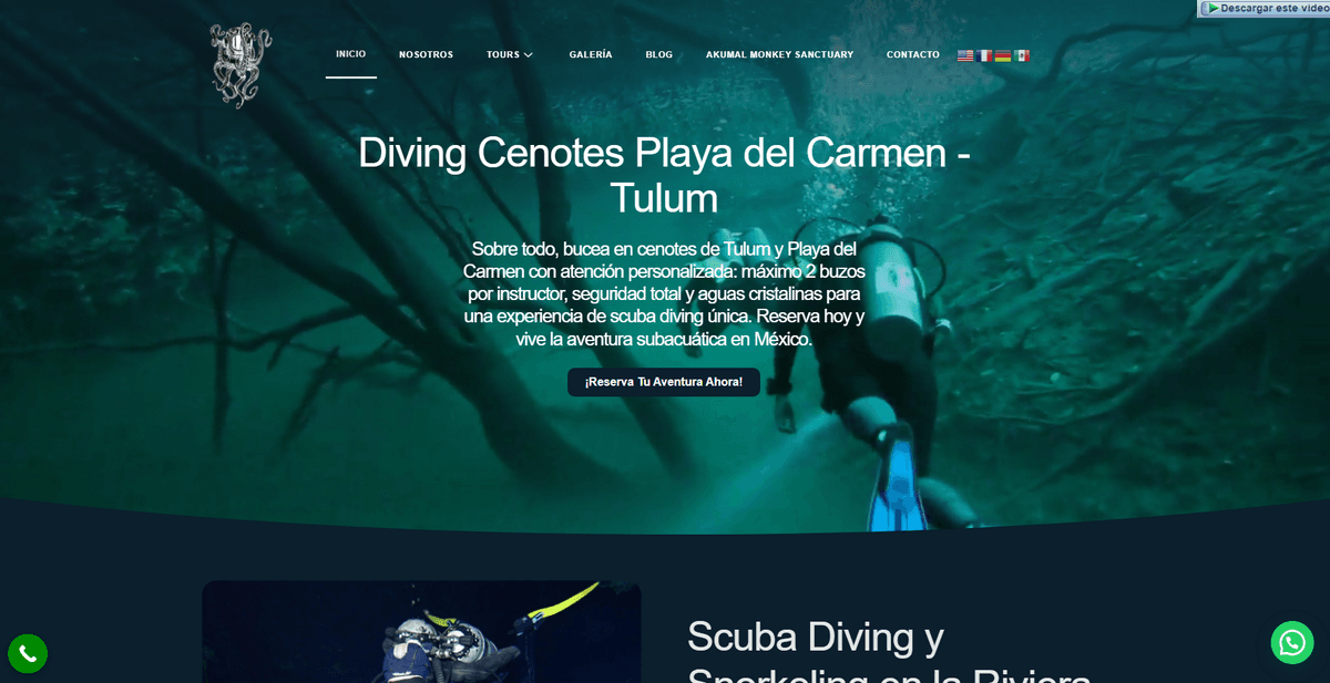 Divingcenotesplaya